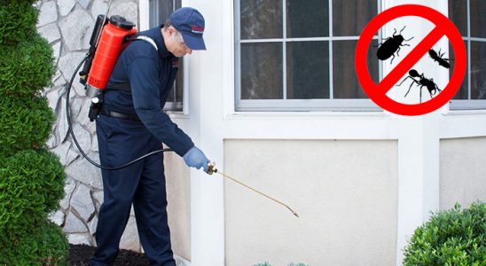 Geyve Kene İlaçlama böcek ilaçlama ve haşere kontrolü — ilaclama-tr.com